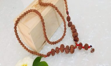 Empowering the modern lifestyles with ancient wisdom: An insight into Rudraksha Foundation’s noble journey