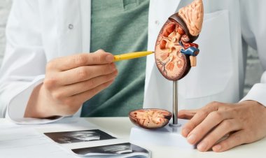 "Rediscover a Revitalized Lifestyle with Our Groundbreaking Patented Technology for Managing Diabetic Kidney Disease"