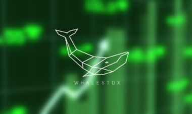 Whalestox: Empowering Traders & Investors with Expert Equity Insights & Learning content