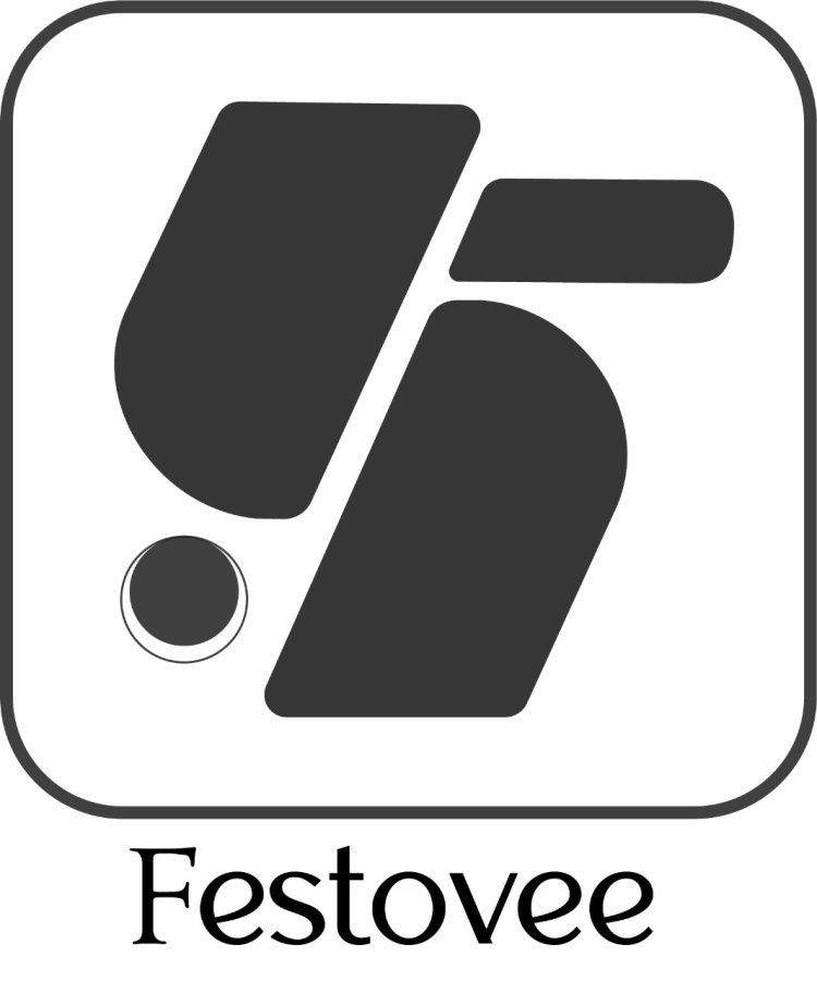 Festovee: Empowering B2B Businesses with Direct Sourcing, Bulk Orders & International Reach
