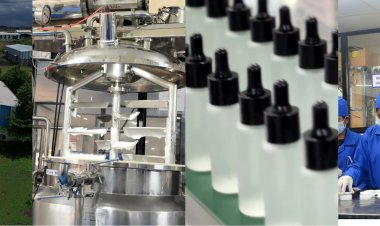 Private Label Solutions – Your Brand, Our Expertise.